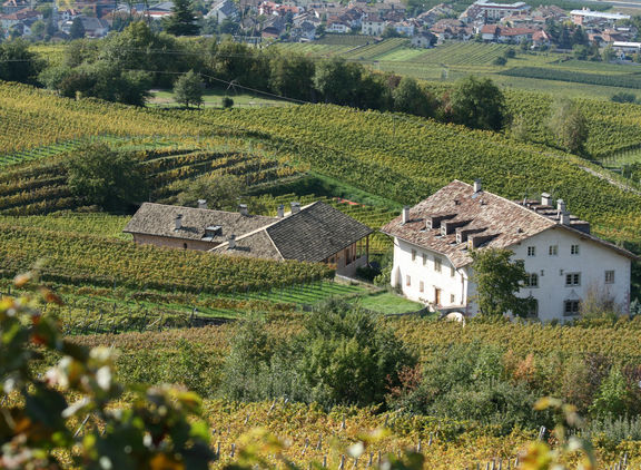 Appartement in the vineyard