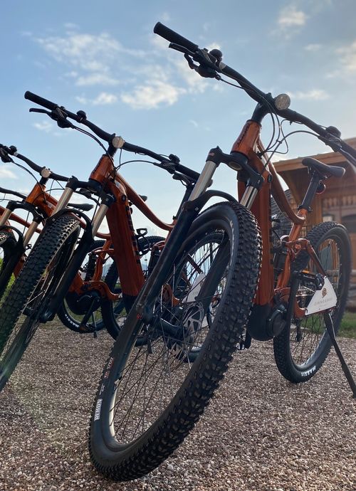 E-Mountainbike Experience