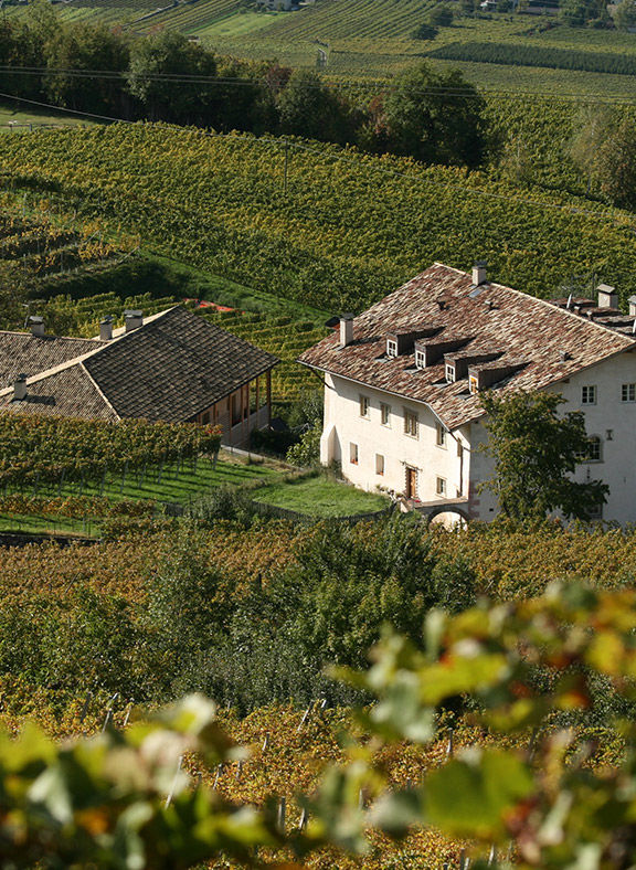 Weingut in Montan im Südtiroler Unterland.